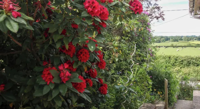 Коттедж Plum Hill Studio