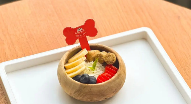 Номер Standard Sono Pet Clubs & Resorts VivaldiPark