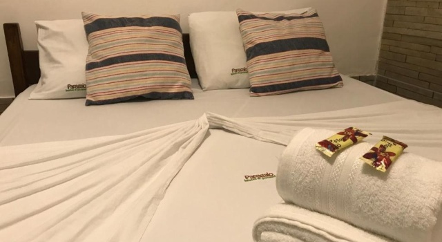 Номер Economy Papagaio Hostel & Pousada