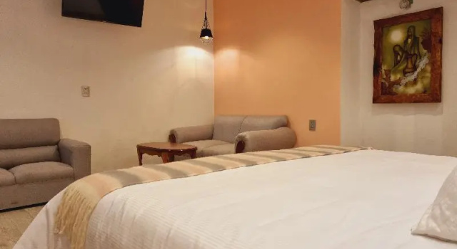 Апартаменты Hotel Barrio Antiguo