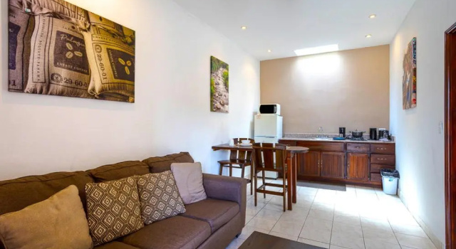 Люкс c 1 комнатой Downtown Suites