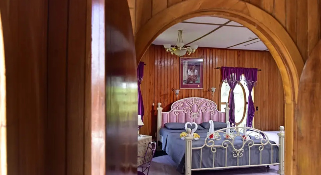 Люкс Standard Banana Bank Lodge & Jungle Horseback Adventures