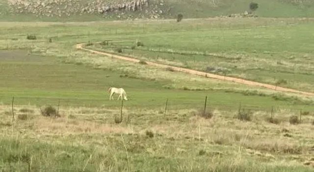 Mountain View Farm Cottage 4X4 Vehicles ONLY, Забронировать Дом для отпуска Виллы Mhala, Вилла