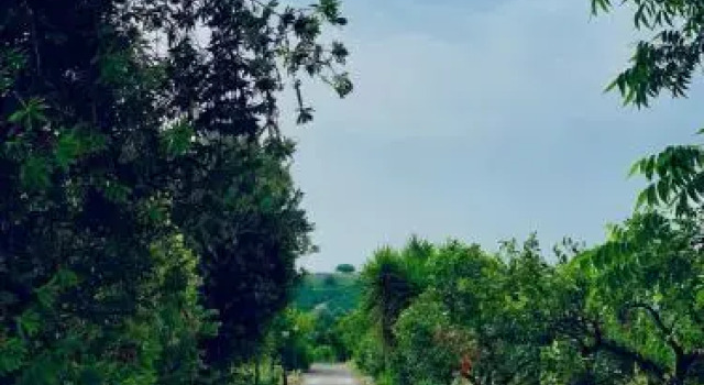 Il Giardino delle Zagare, Rezervați Hotel Hoteluri în Calatabiano cu piscină, Piscină