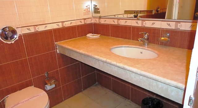 Двухместный номер Classic Hotel Singh Sahib