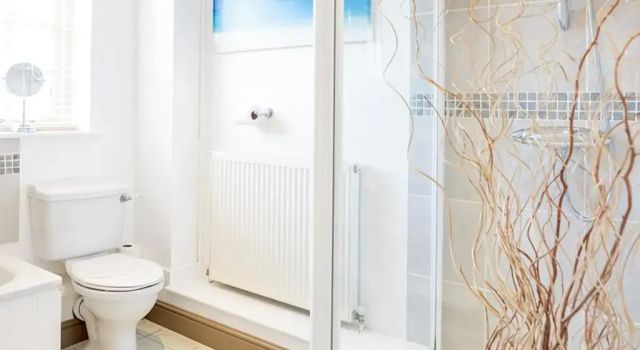 Двухместный номер Standard Meadow View