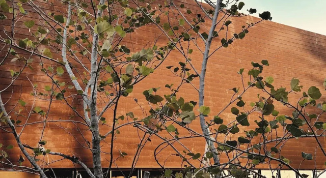 inchantreedoolay huahin, Rezervați Hotel Pak Nam Pran Hua Hin