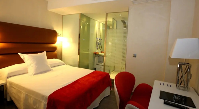 Одноместный номер Standard Evenia Alcalá Boutique Hotel