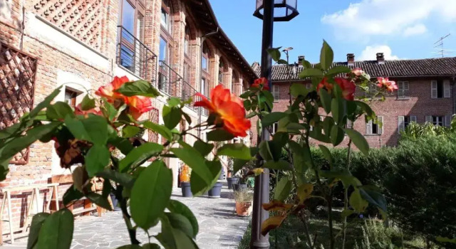 Corte dellUva, Đặt Khách sạn Belveglio Piemonte