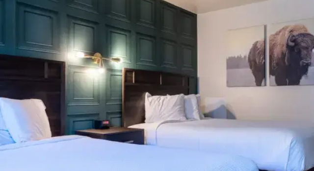 Номер Standard The Scout INN