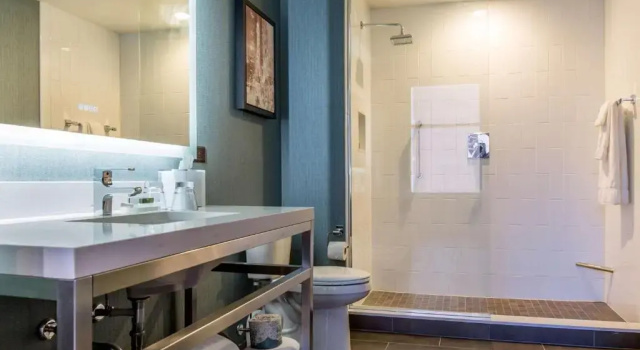Номер Deluxe Cambria Hotel Chicago Loop - Theatre District