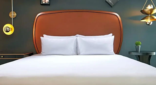 Двухместный люкс с видом на город Hyatt Centric Sacramento Downtown
