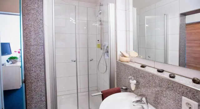 Одноместный номер Comfort Hotel & Restaurant Rose