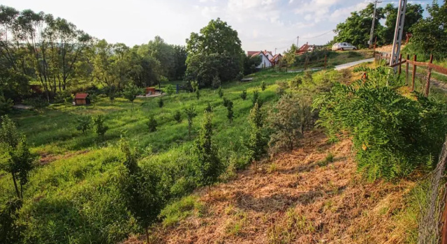 Farkaskő Vendégház, Забронировать Гостевой дом Отели Хевеш с парковкой, Парковка