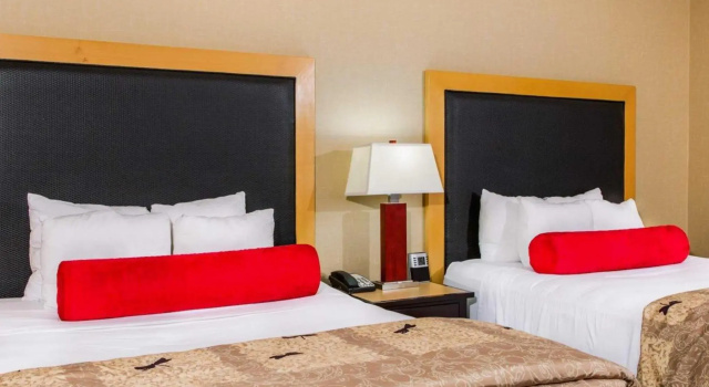 Suite doble Cambria Hotel Appleton