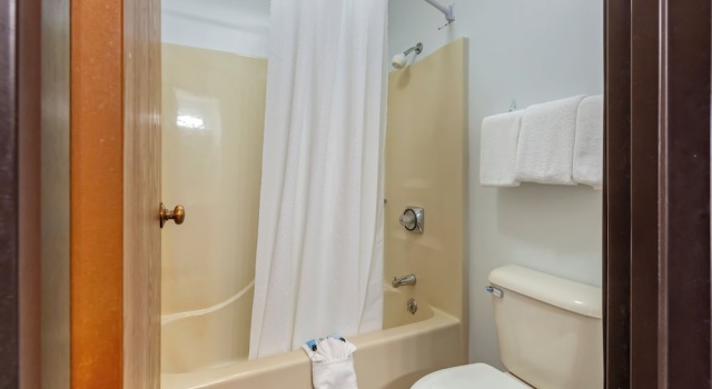 Четырёхместный номер Standard Polynesian Hotel & Suites Wisconsin Dells/Lake Delton