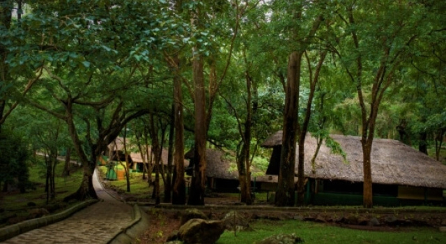 Тент K. Gudi Wilderness Camp