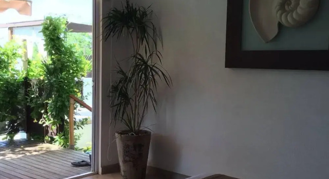 Двухместный номер Standard с видом на океан Casa Qi Mazunte