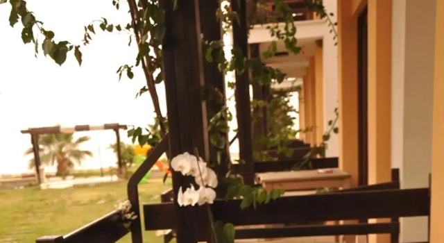 Семейный номер Standard Hotel Silvanus