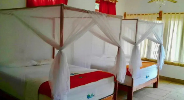 Standardowy czteroosobowy pokój Cabañas Telayú