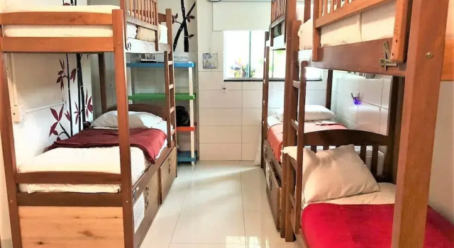 Sea Wolf Surf Club - Hostel