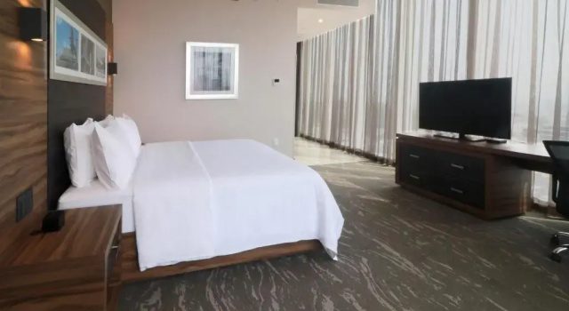 Двухместный номер Corner с видом на горы Hilton Garden Inn Monterrey Obispado