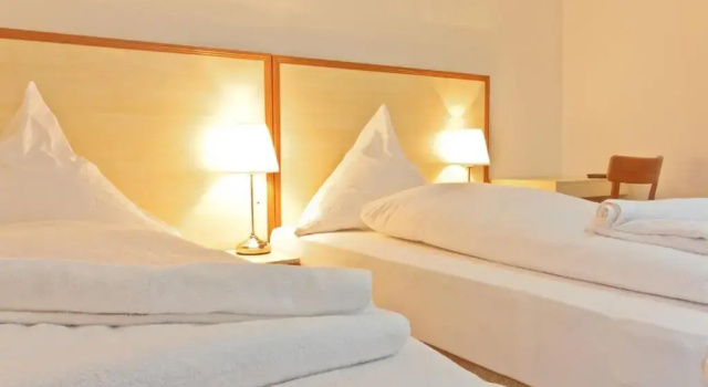 Одноместный номер Standard Hotel Ganita Weil am Rhein
