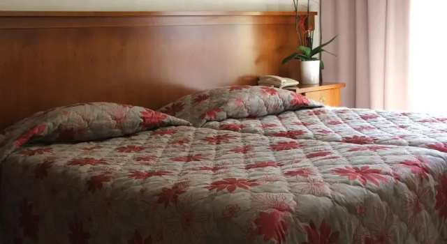 Двухместный номер Comfort с балконом Logis Hotel Diana