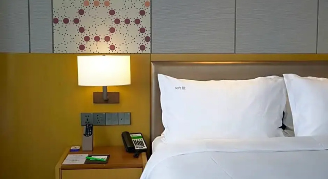 Номер Premier Holiday Inn Tianjin Xiqing by IHG