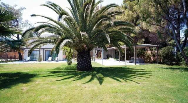 Вилла с 2 комнатами Tiamo Secrets - Palm Garden