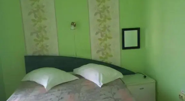 Двухместный номер Standard Pensiunea Vila Dana