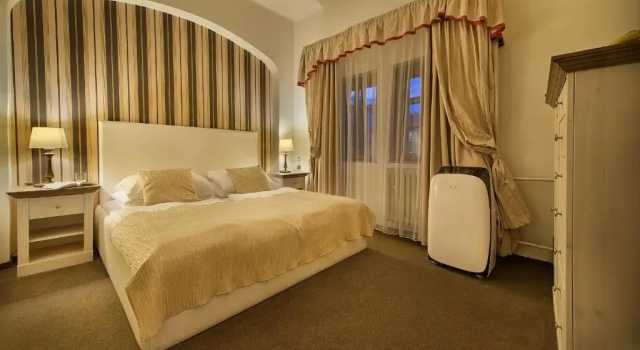 Двухместный номер Hotel U Tri Pstrosu