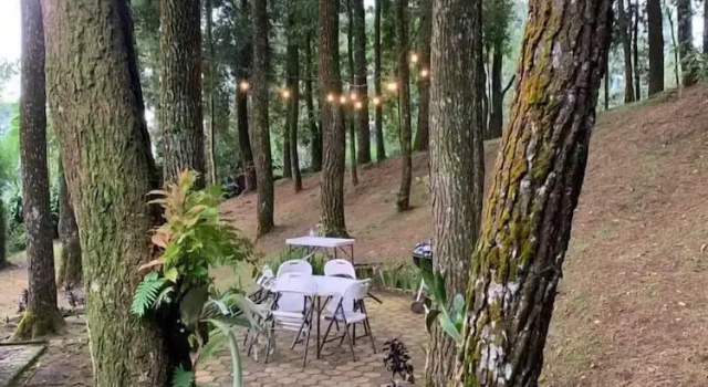 The Pine Forest Villas, Prenota Hotel Megamendung West Java