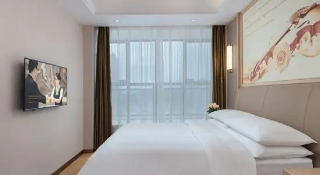 Люкс Vienna International Hotel (Dushan)