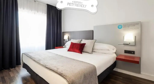 Двухместный номер Pet-Friendly Ilunion Suites Madrid