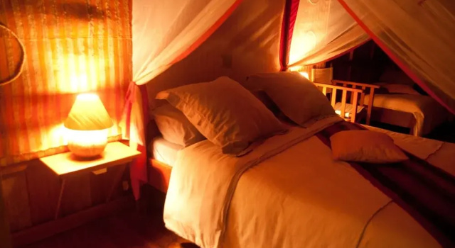 Номер Standard Nature Lodge