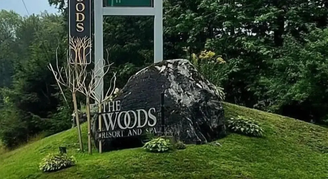 Номер Standard Woods Village 43