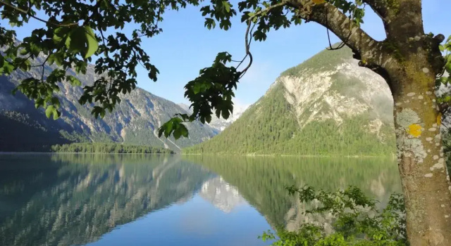 Двухместный номер Standard Alpenhotel Ammerwald