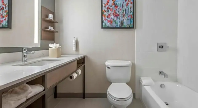 Четырёхместный номер Premium Hilton Garden Inn Dallas/Allen