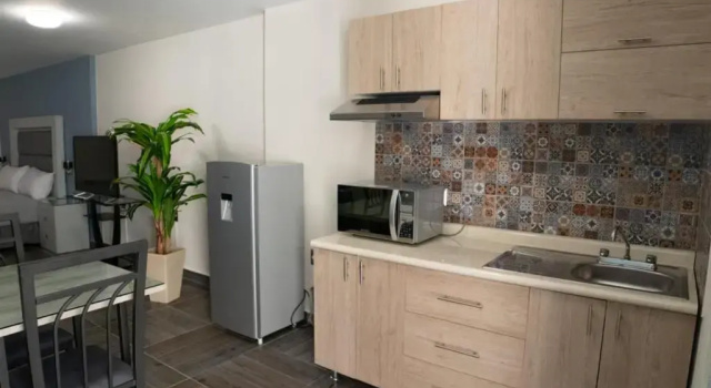 Номер Deluxe Hotel Suite Las Valkirias