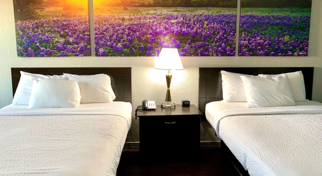 Days Inn & Suites by Wyndham - Canton First Monday Trade Days, Забронировать Мини-отель Кантон штат Техас