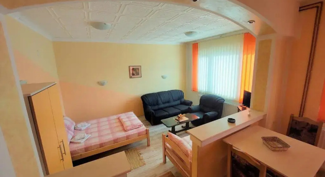 Апартаменты c 1 комнатой Apartments Nikolić