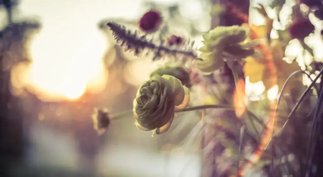 W Starym Młynie, Забронировать Отель Милич Нижнесилезское воеводство