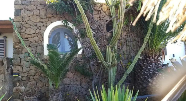 Апартаменты с 2 комнатами Le casette di Marilena b&b Agave Iucca