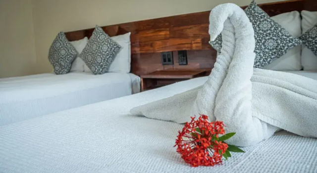 Номер Deluxe Moonshine Tulum Hotel & Hostel