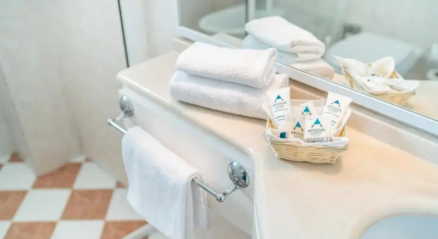 Одноместный номер Standard Hotel Karinzia
