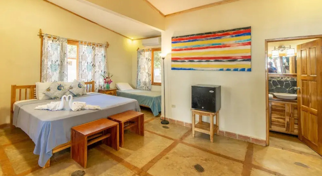 Номер Standard Hotel Playa Reina
