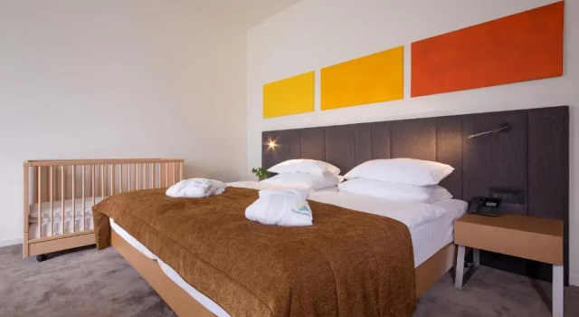 Двухместный семейный номер Premium Terme Tuhelj Hotel Well