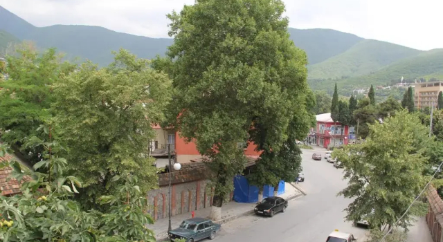 Люкс Yaffle Inn Shaki Boutique Hotel