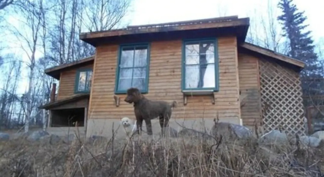 Chickadee Inn, Rezervasyon Otel Palmer Alaska